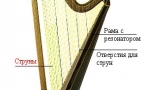 Какой инструмент является прародителем всех струнных инструментов?